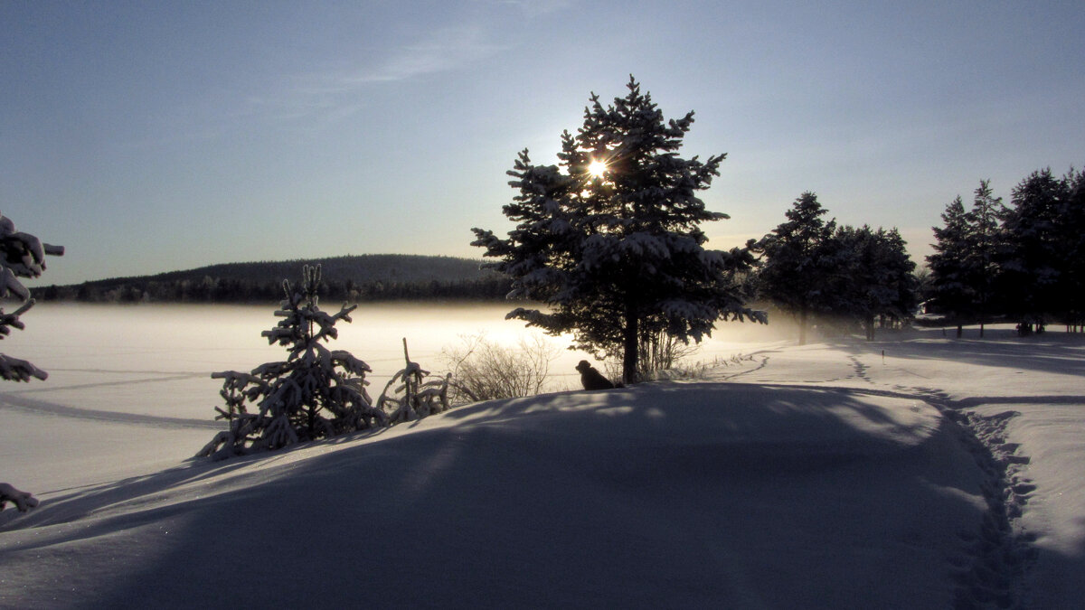 Туман над озером в снегу. - Галина Полина