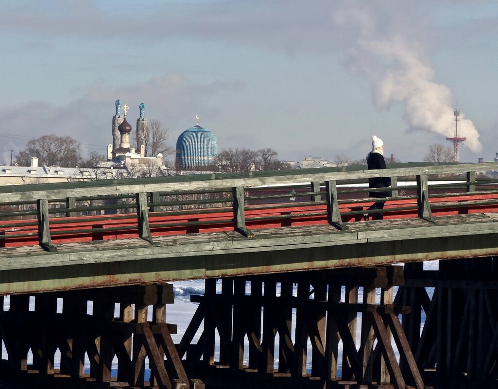 на Кронверкском мосту - Елена 