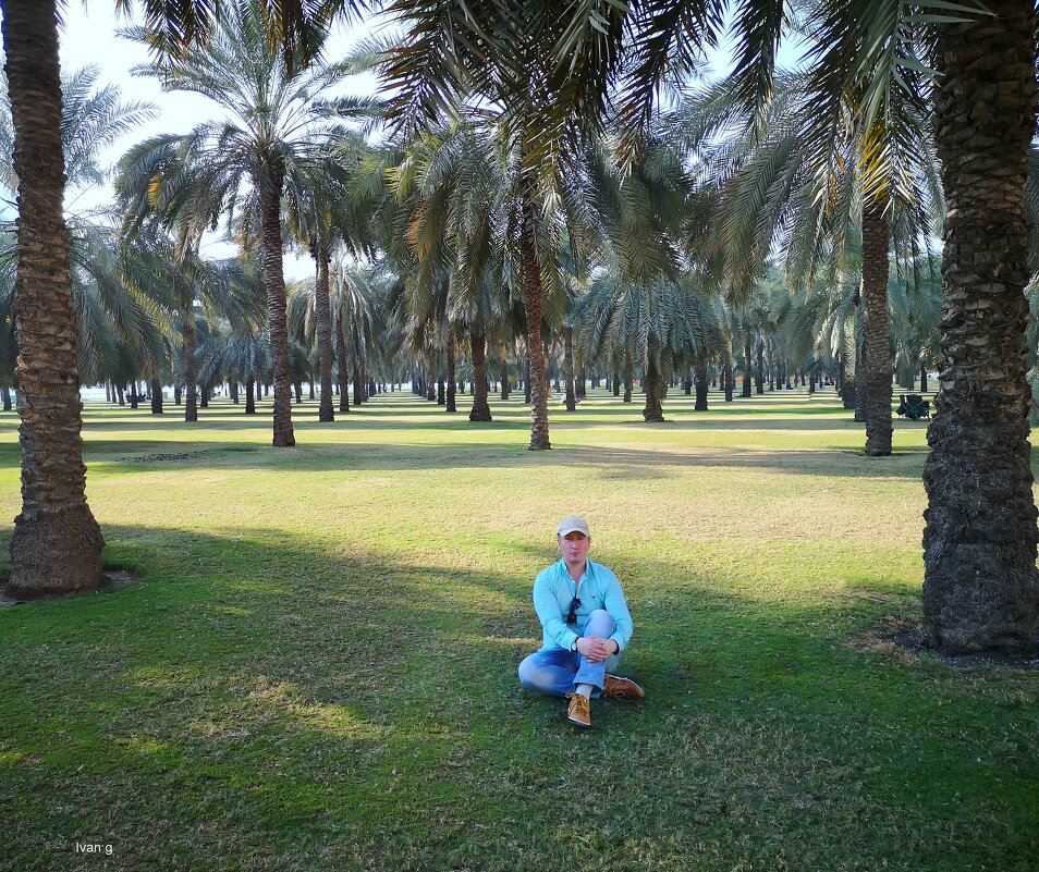 Идеально чистые парки Дубая - Ivan G