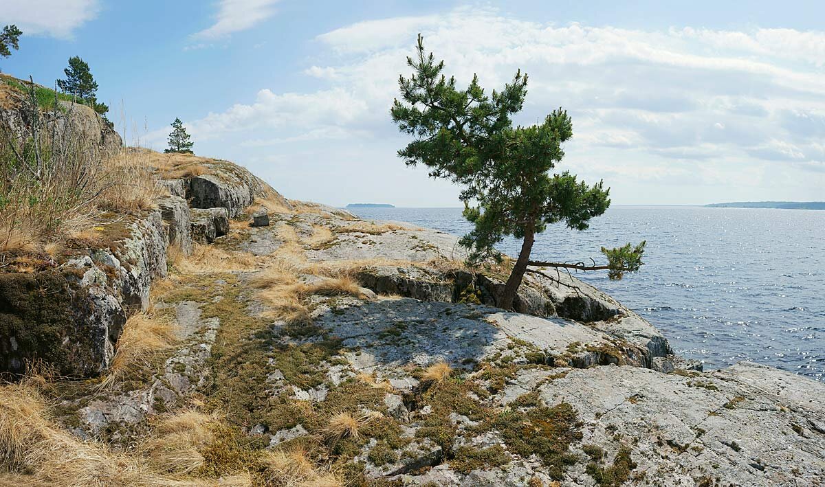 На краю - Сергей Курников