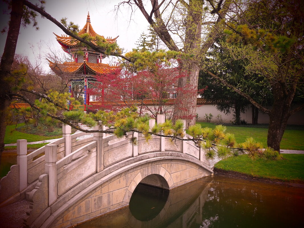 Цюрих Швейцария Китайский сад - wea *