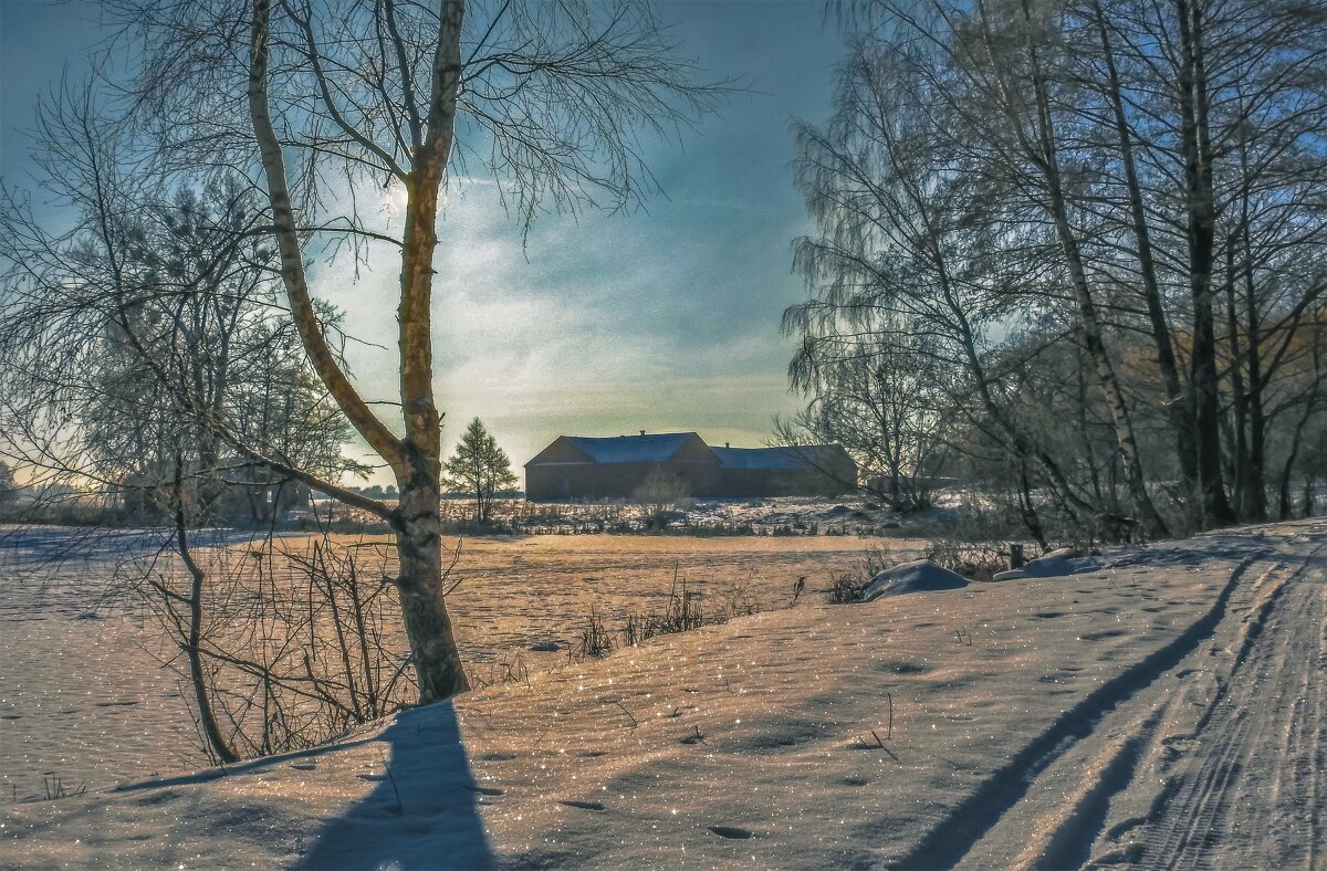 Зима в деревне - Вадим Ефимчик