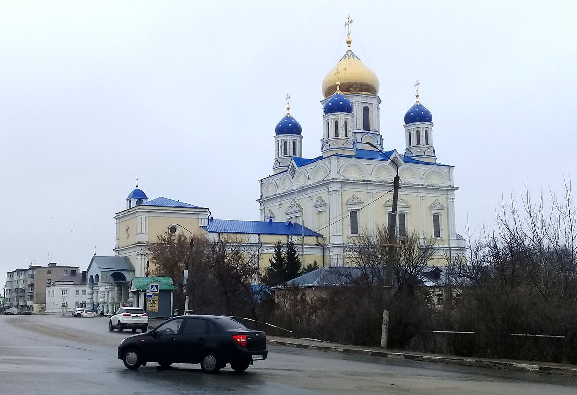 Вознесенский собор в г. Ельце - Зоя Чария