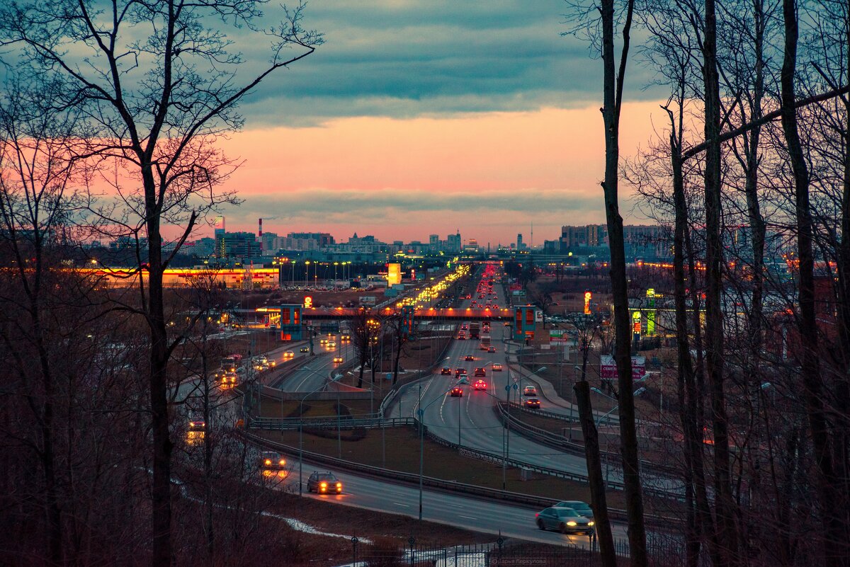Городской пейзаж вечернего Петербурга - Дарья Меркулова