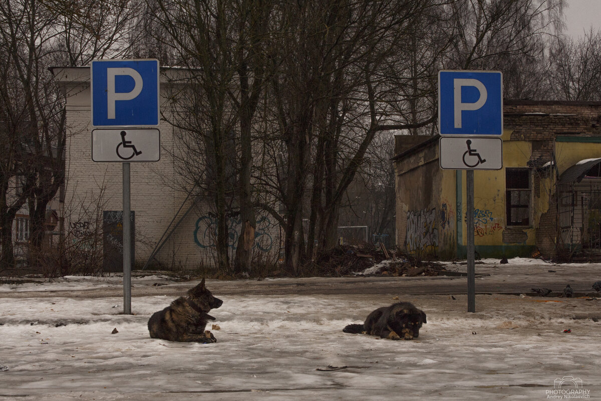 Припарковались. - Андрей 