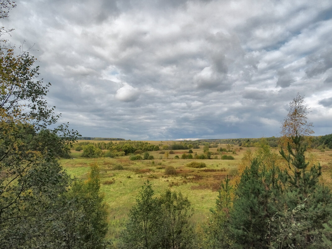 В моих краях - Денис Бочкарёв