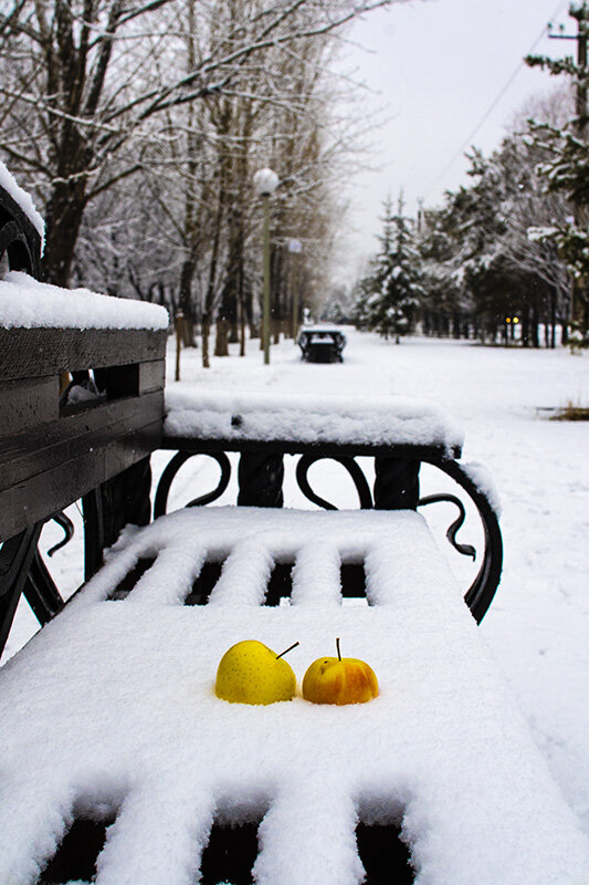 Яблоки на снегу - Сергей 
