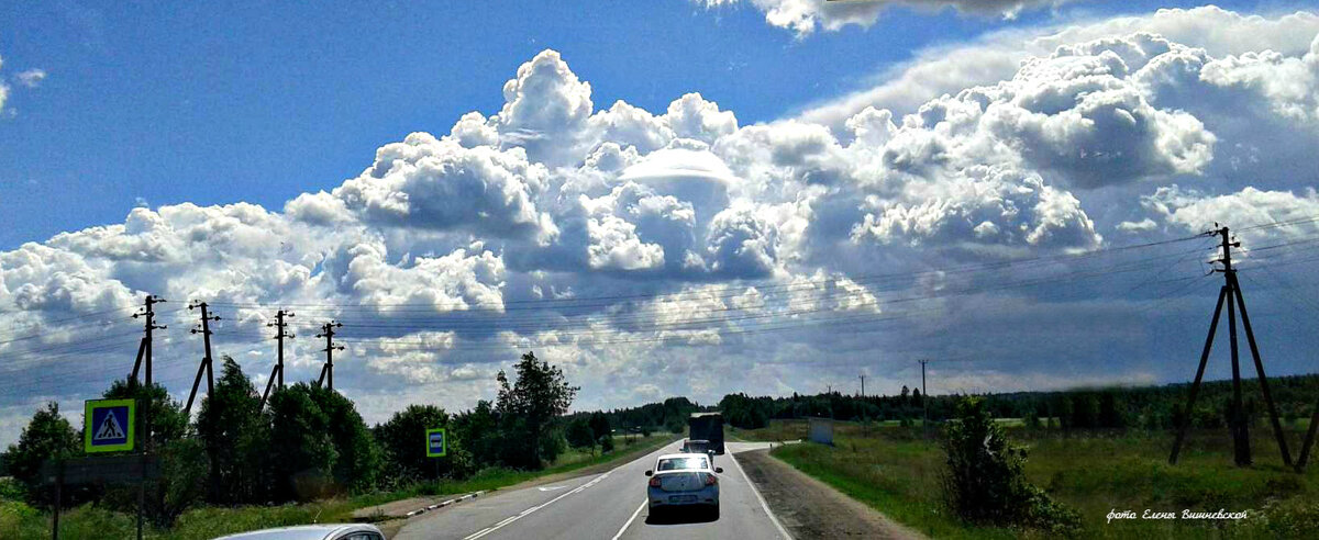 В дороге. - Елена Вишневская