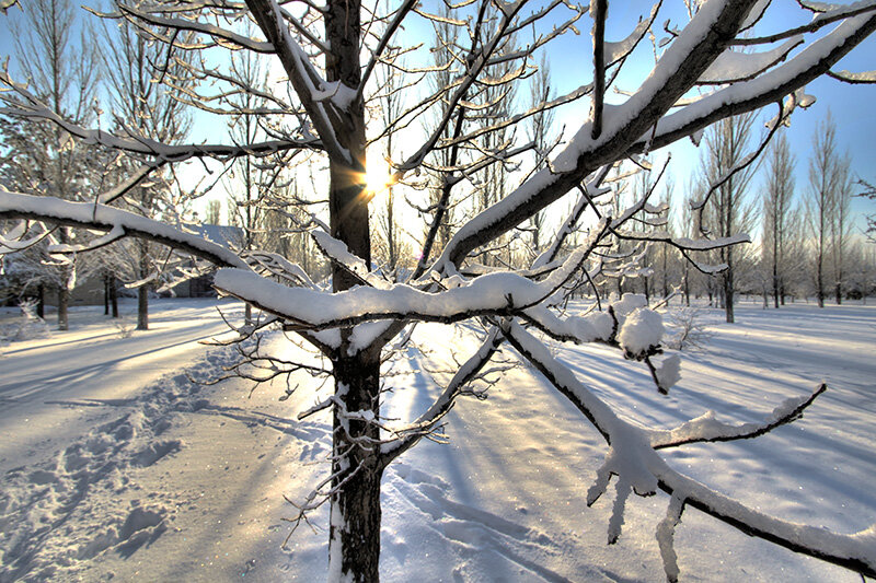 Мороз и солнце - Сергей 