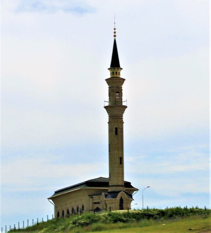 Мечеть - Василий 