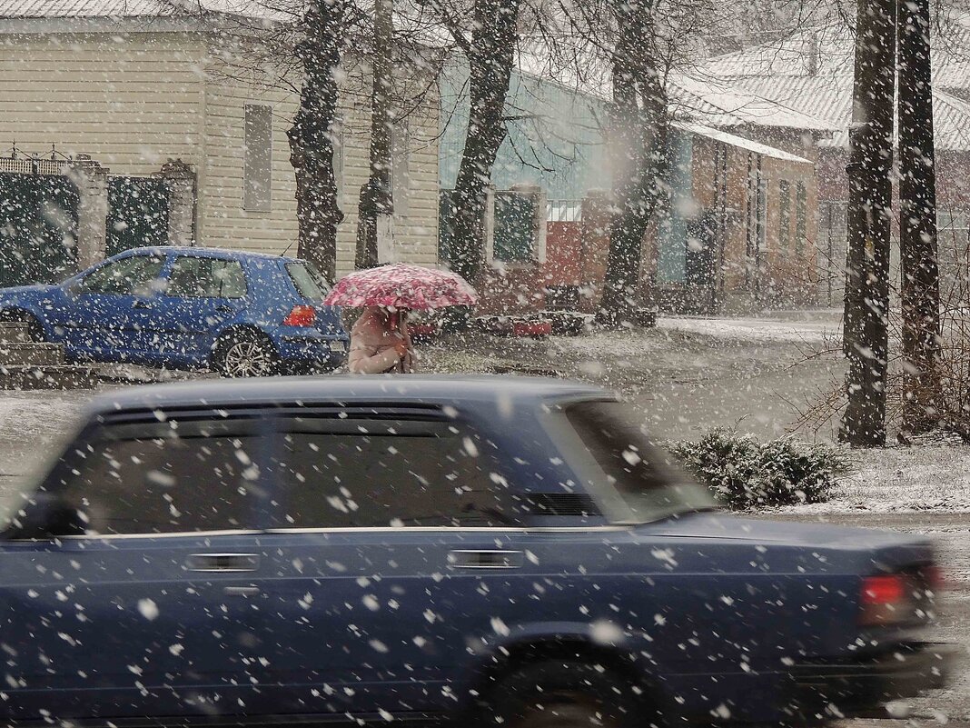 А снег идет - Роман Савоцкий