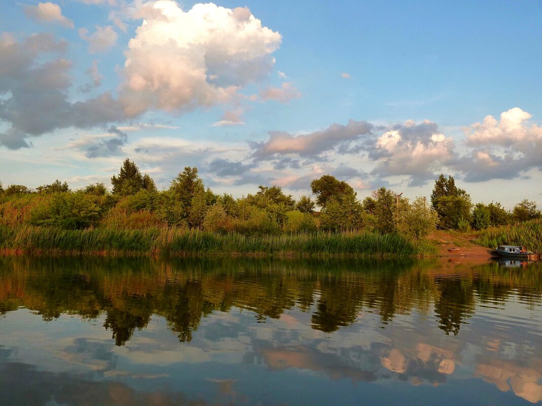 На реке, дело было к вечеру... - Лидия Бараблина