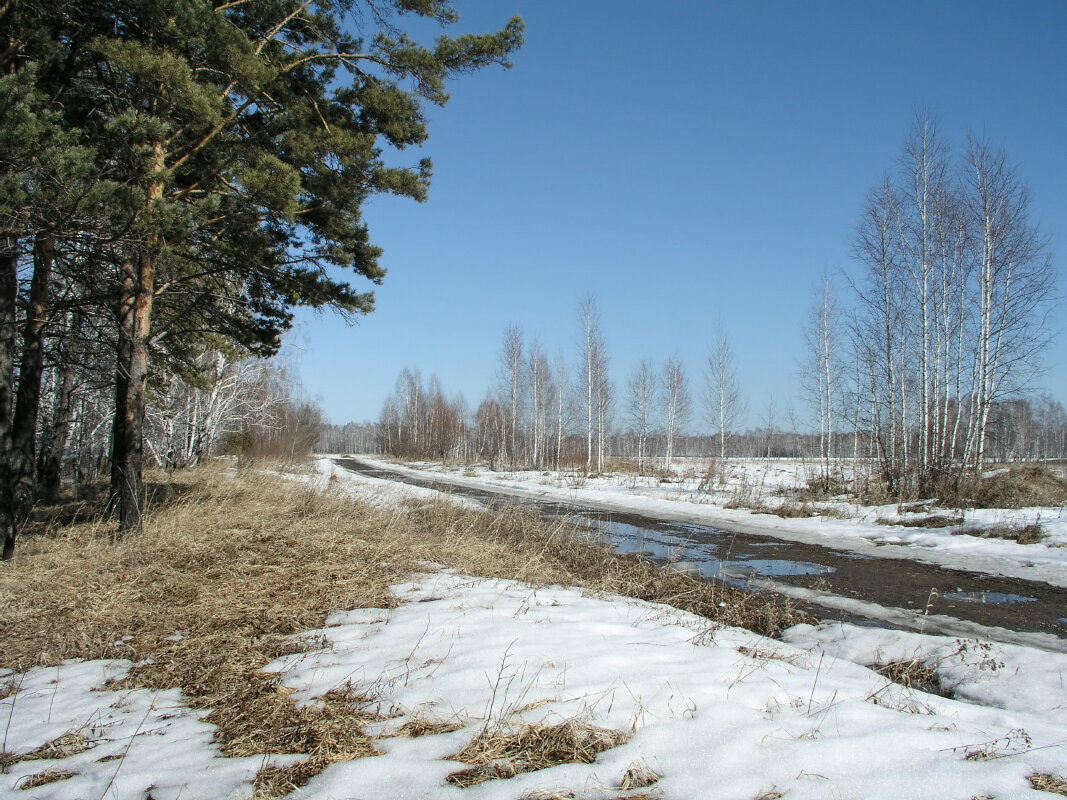 В полях еще белеет снег - Николай 