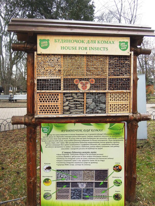 Домик для многих видов насекомых в киевском зоопарке) - Тамара Бедай 