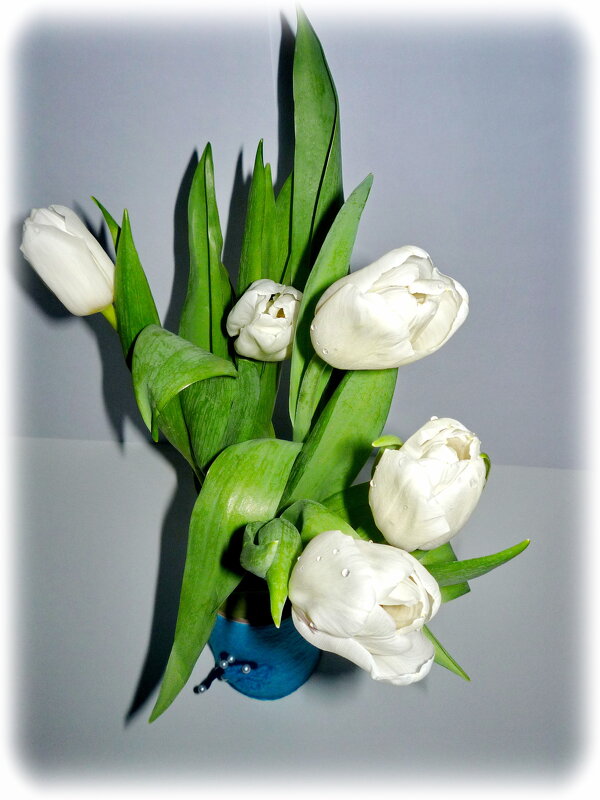 Белые тюльпаны в авторской вазе. 8 марта 2020 года. - Александра Рожкова 