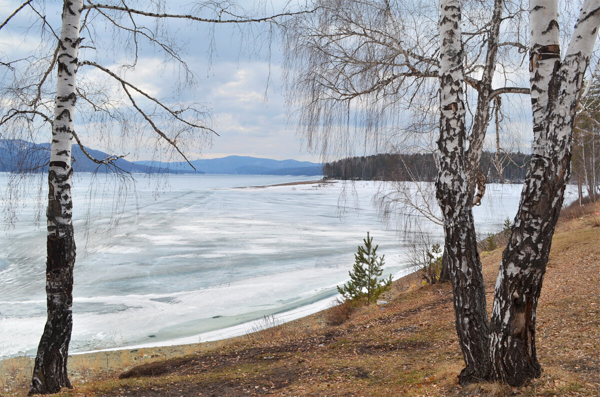 Весна на Красноярском водохранилище - Татьяна Соловьева