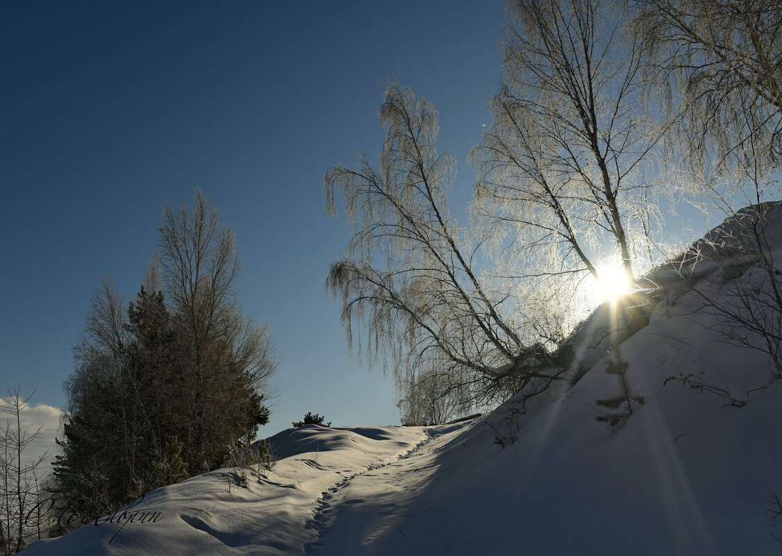 Холодное солнце - Сергей Шаврин