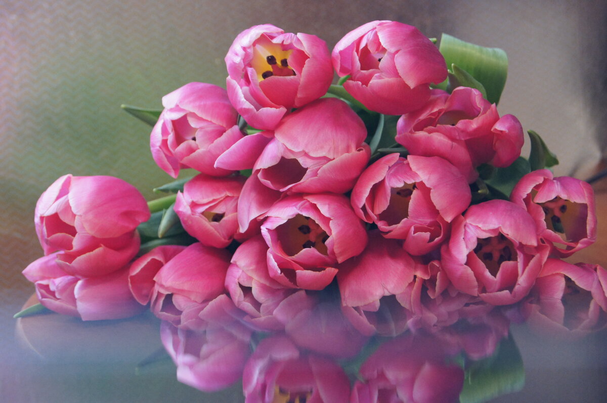 Тюльпаны - Наталья Ильичёва