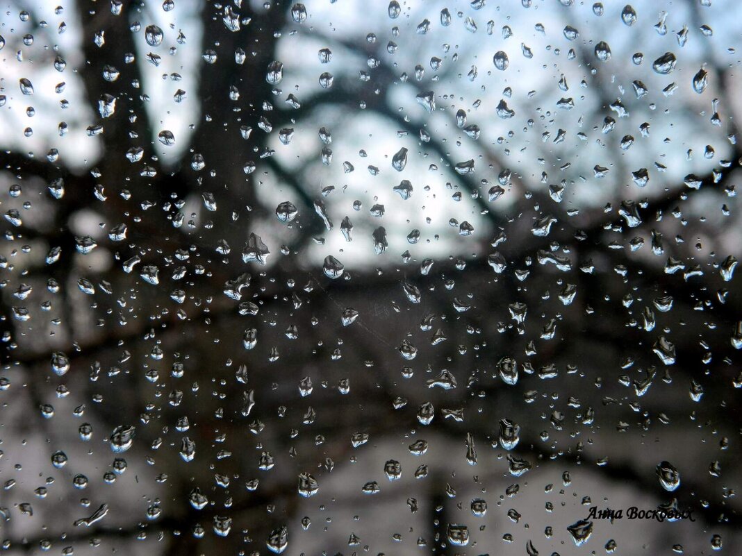 Слёзы дождя на оконном стекле..... - Восковых Анна Васильевна 