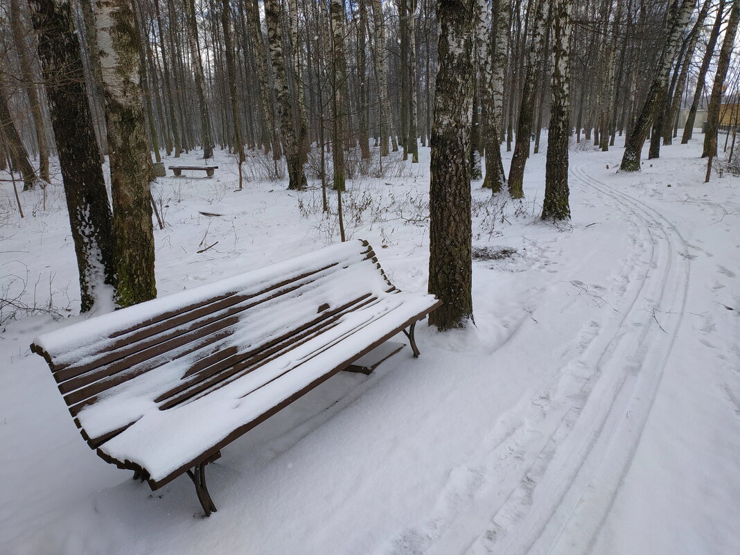 Чтобы пришла зима, нужно просто подождать :-) - Андрей Лукьянов