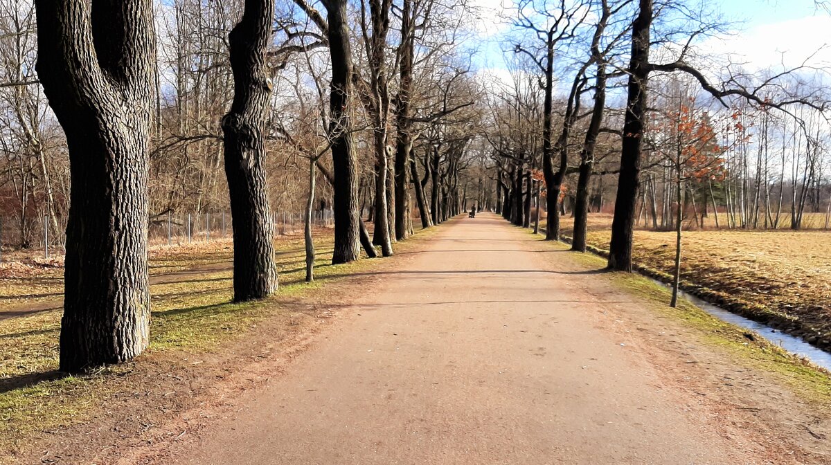 Царское Село. Март - Наталья Герасимова