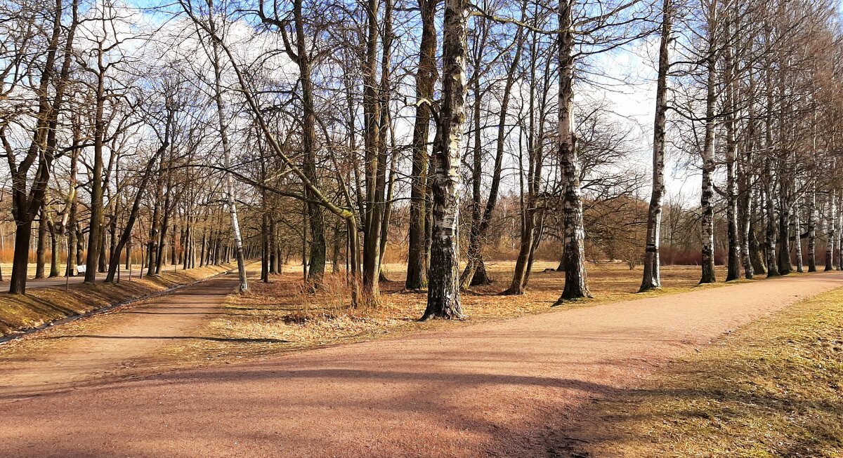 Царское Село. Март - Наталья Герасимова