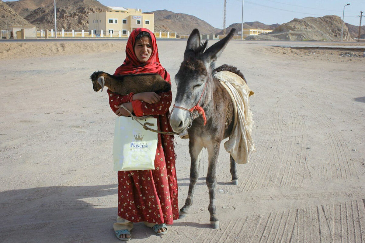 Бедуинская девочка - Яна Калтурова