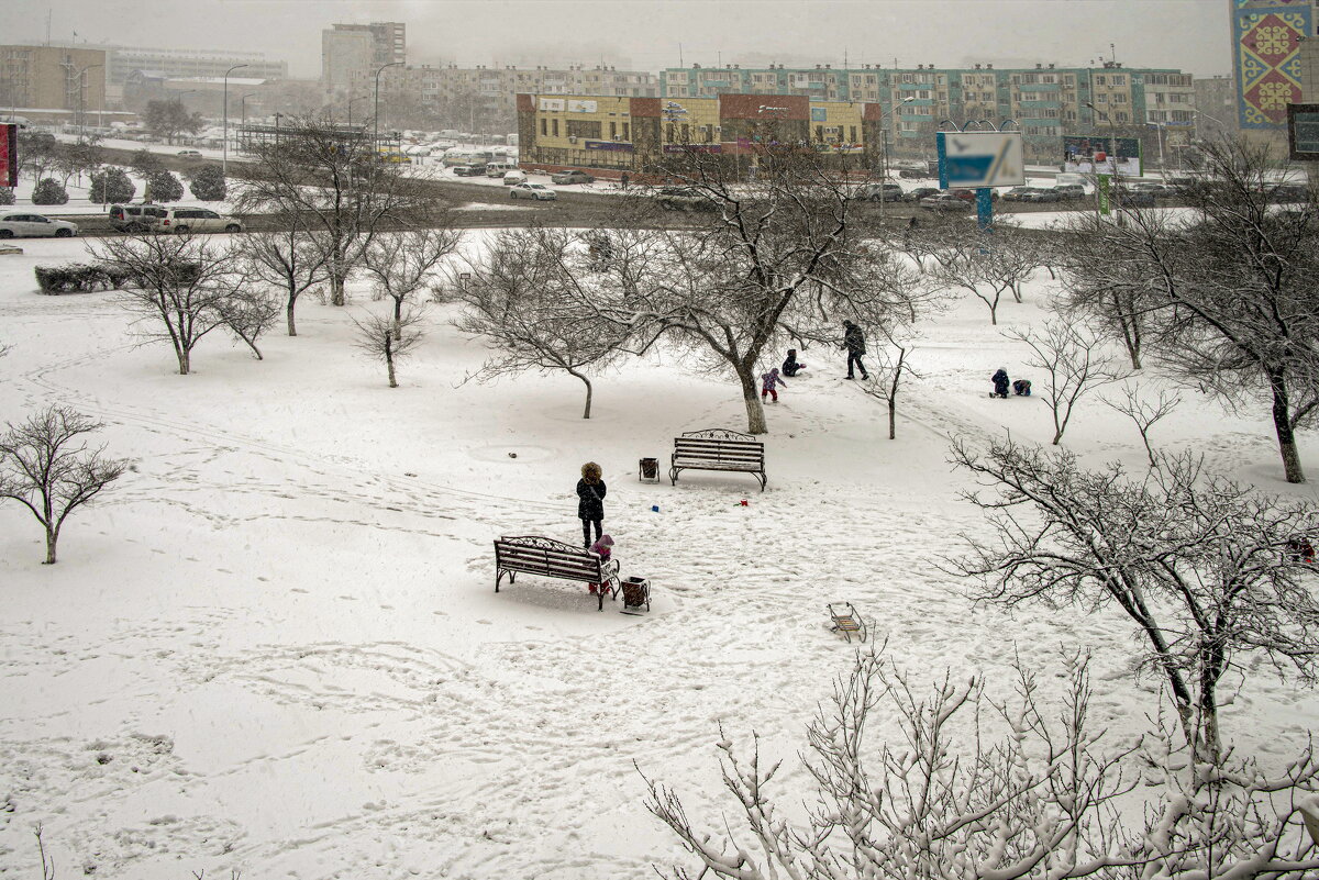 Снежный день - Анатолий Чикчирный