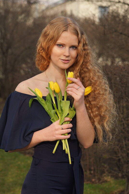 Жёлтые тюльпаны. - Саша Бабаев