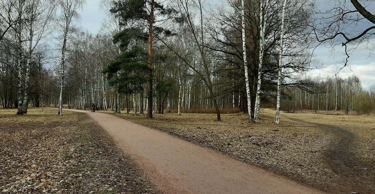 Царское Село. Март - Наталья Герасимова