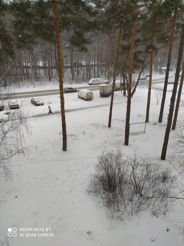 Сегодня выпало много снега - Лидия (naum.lidiya)
