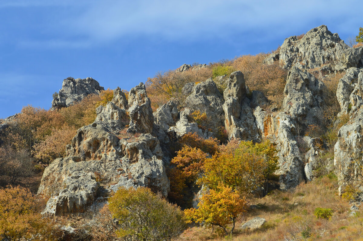 Кавказская осень........ - Юрий Цыплятников