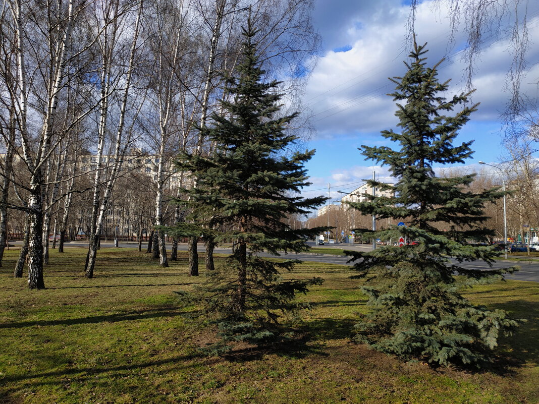 Весна в городе - Андрей Лукьянов