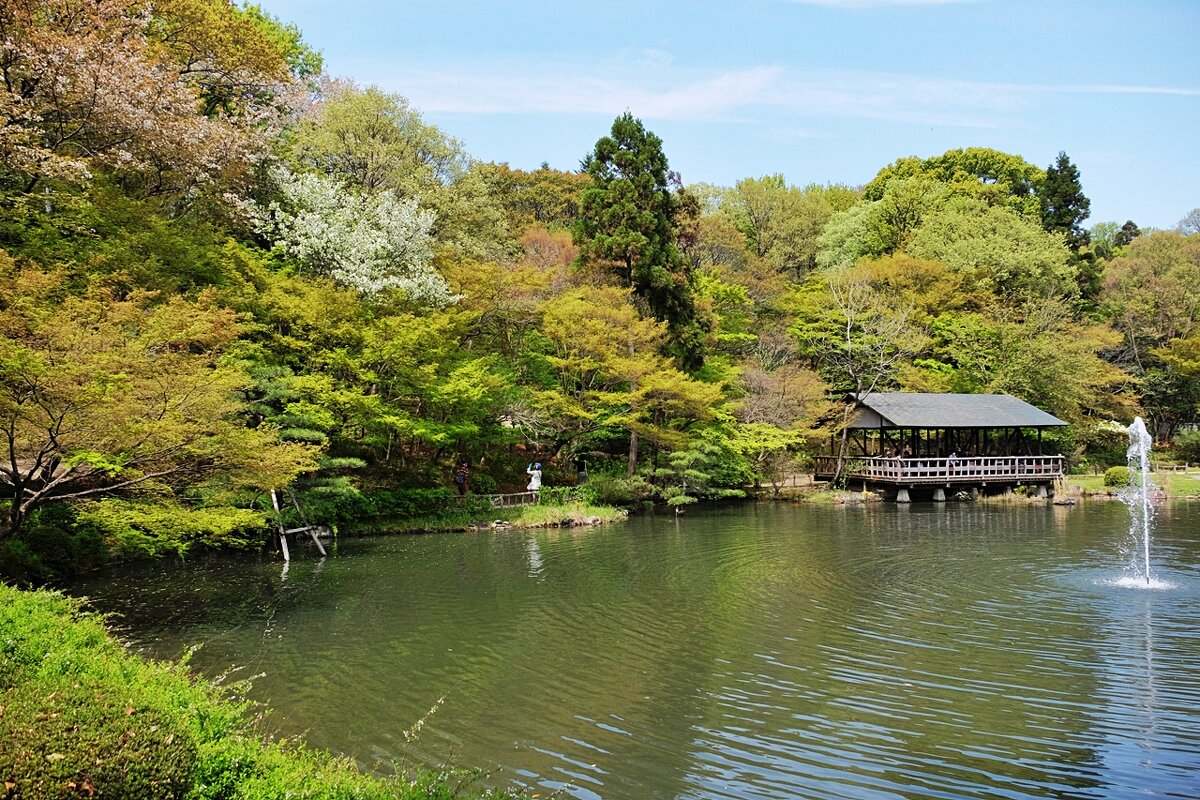 Нагоя, ботанический сад Higashiyama - wea *