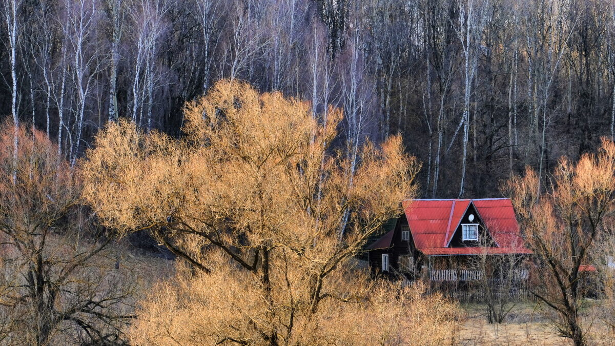 дом в лесу - Георгий А