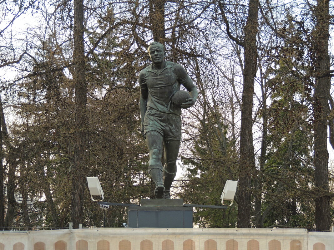 Памятник Эдуарду Стрельцову - Восточная ул., д.4 - Александр Качалин