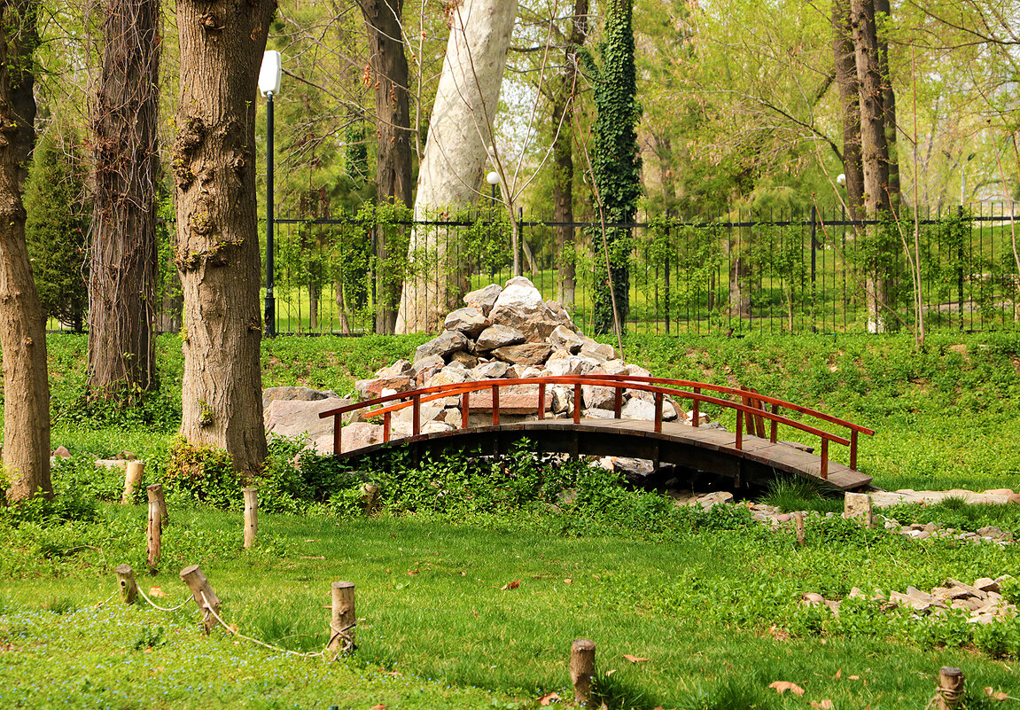 Мостик в японском саду - Светлана 