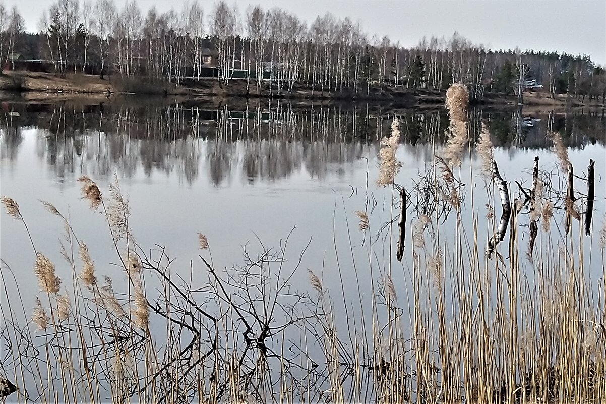 На озере - Лидия Серг