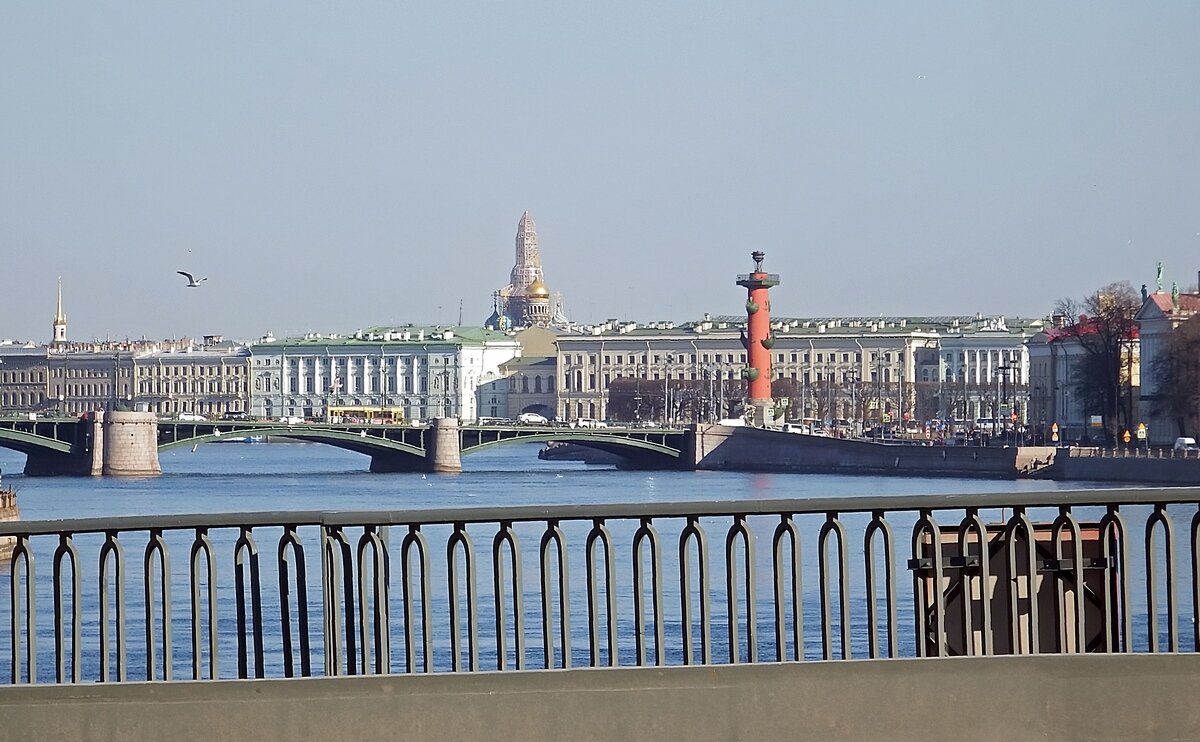 Вид на Неву с Тучкова моста (Санкт-Петербург) - Ольга И