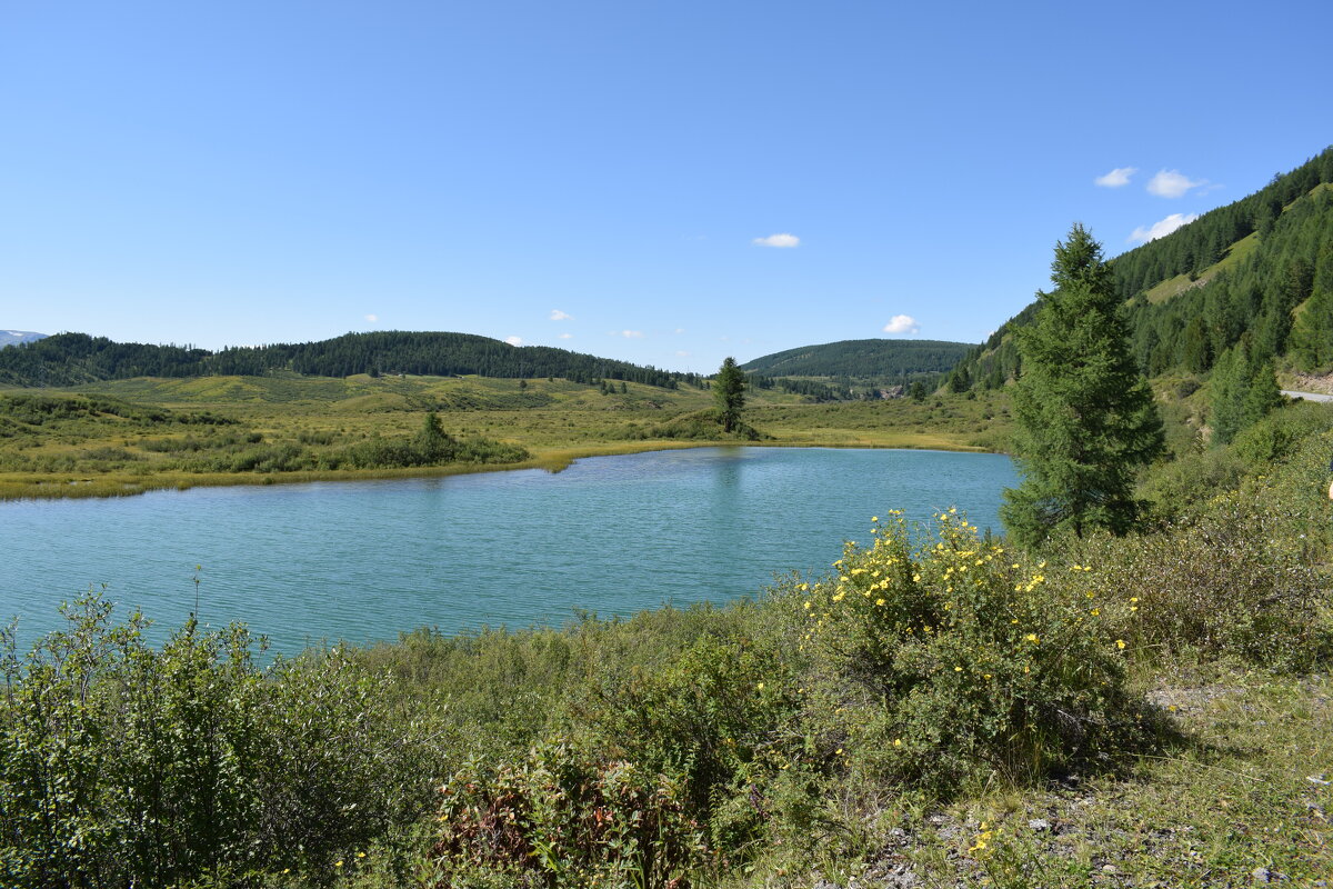 небольшое озеро - nataly-teplyakov 