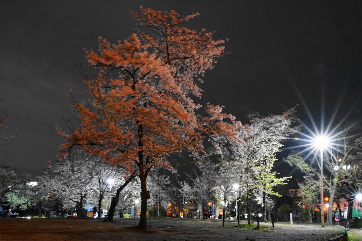 Парк Сумиёси, Осака, Япония - Иван Литвинов