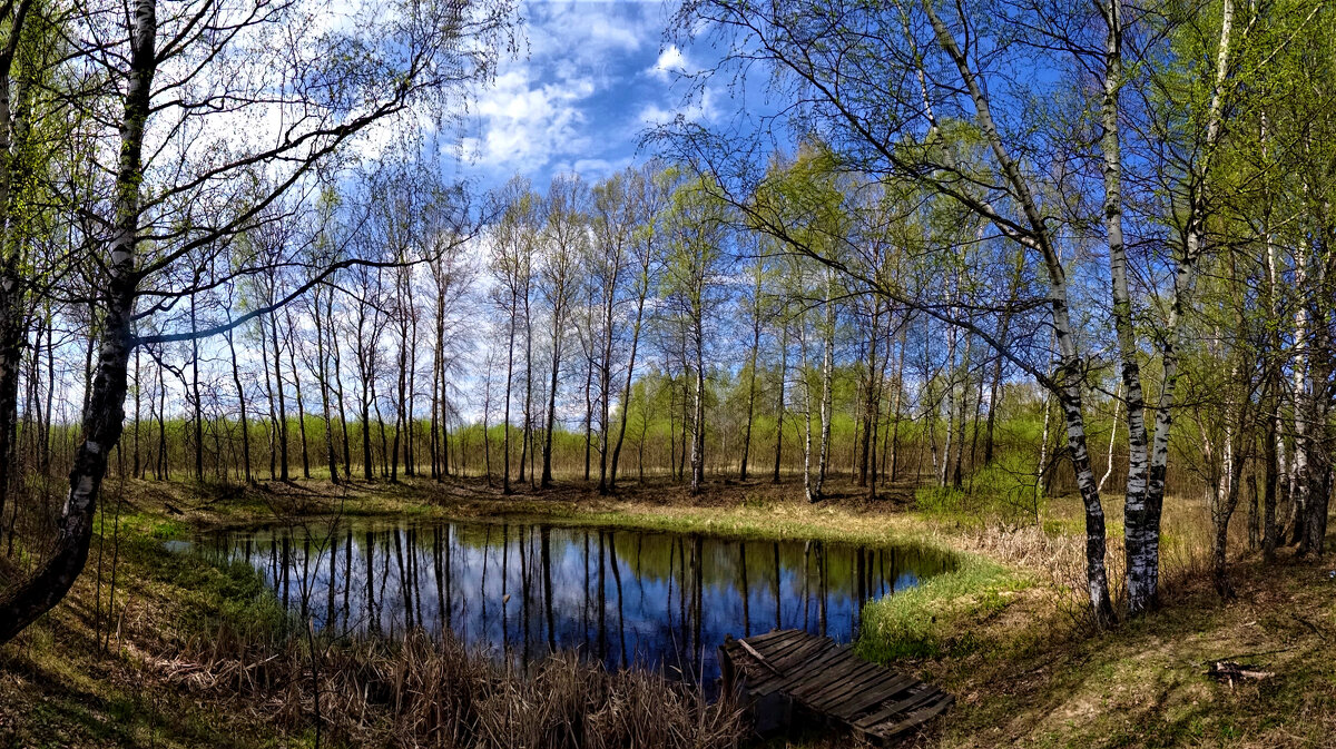 Панорамное фото Весны. - Oleg S 