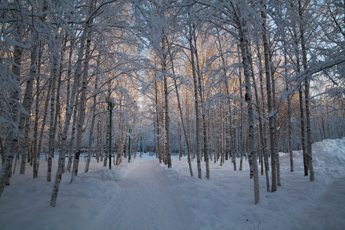 Прогулка в зимнем парке - Влад Владов