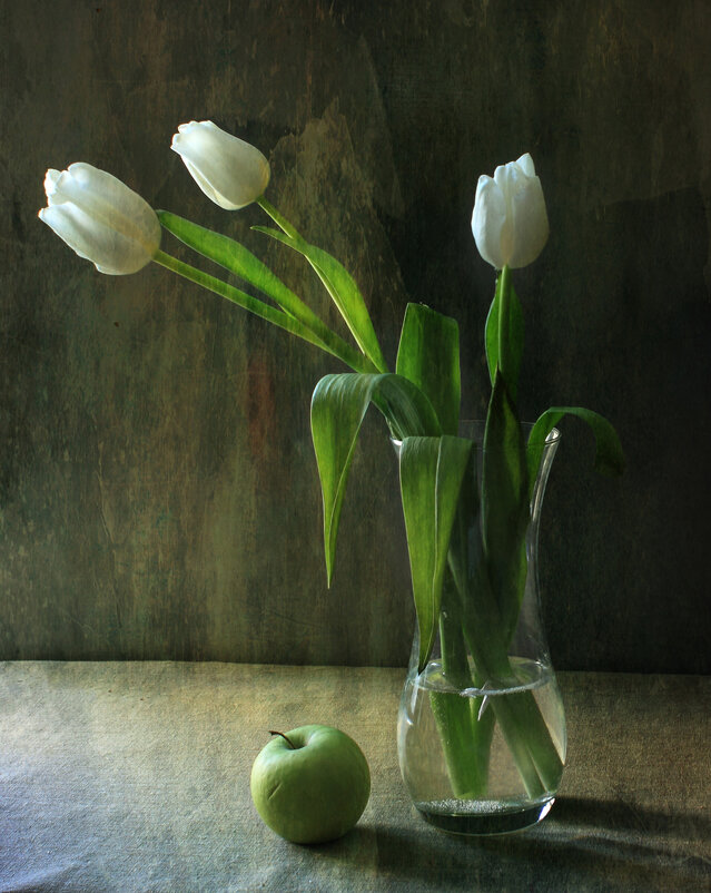 Белые тюльпаны - Николай 