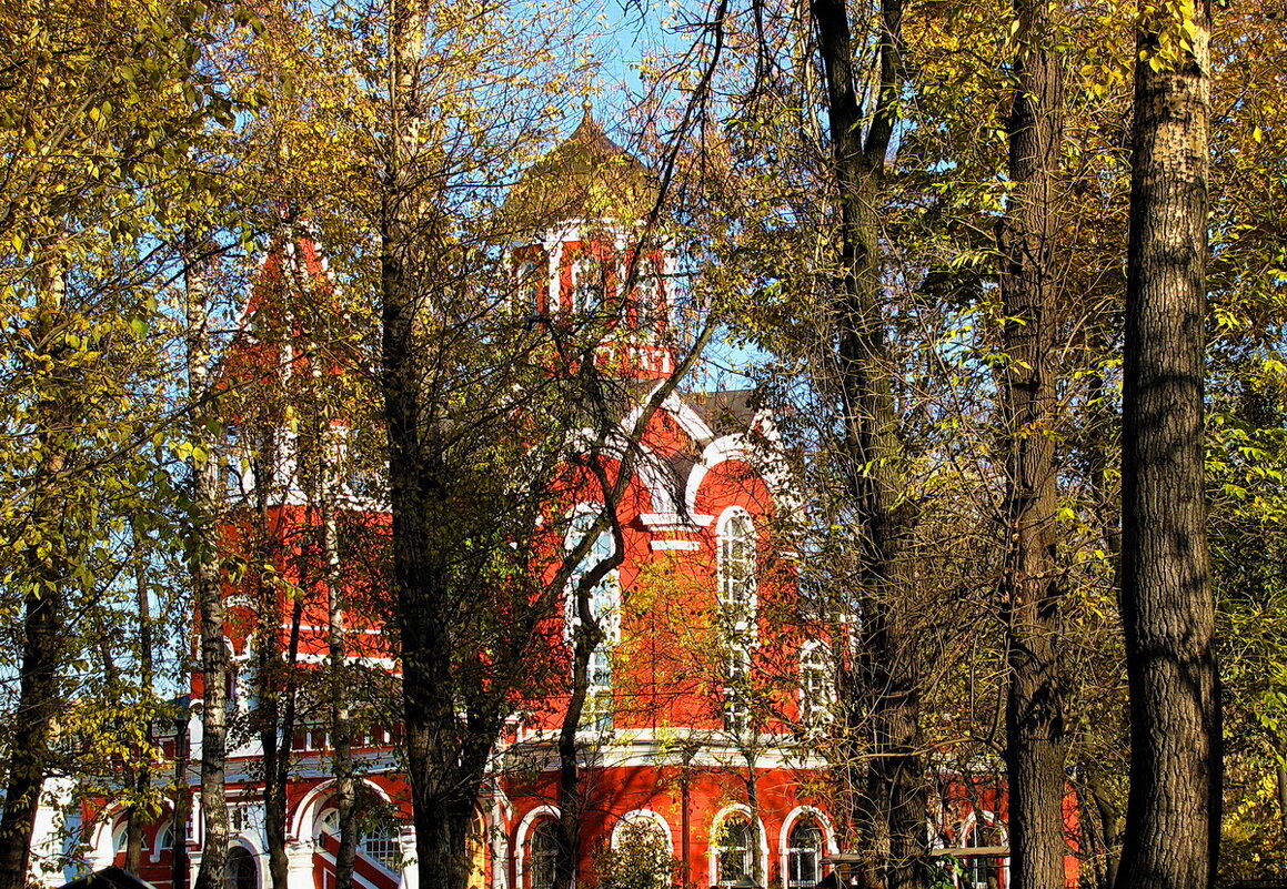 Храм Благовещения Пресвятой Богородицы в Петровском парке. - Татьяна Беляева