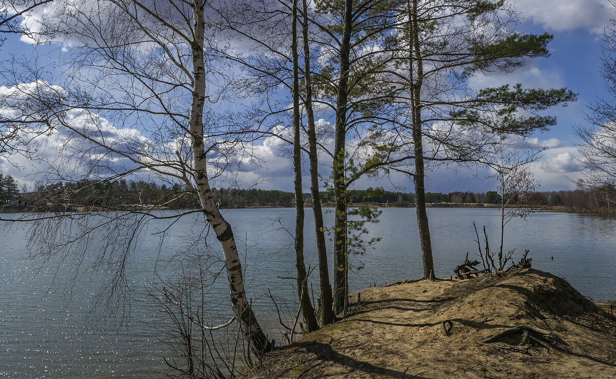 Апрель на озере - Сергей Цветков