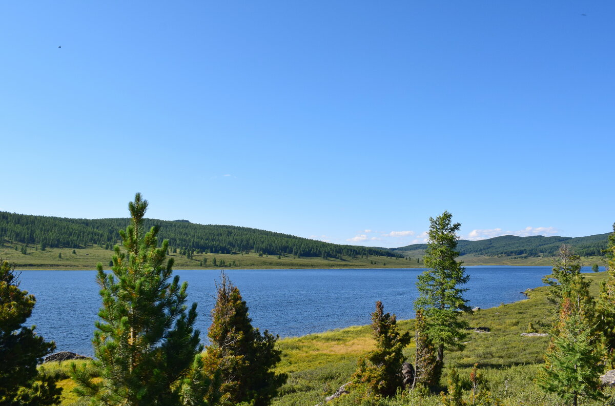 озеро Узункёль - nataly-teplyakov 