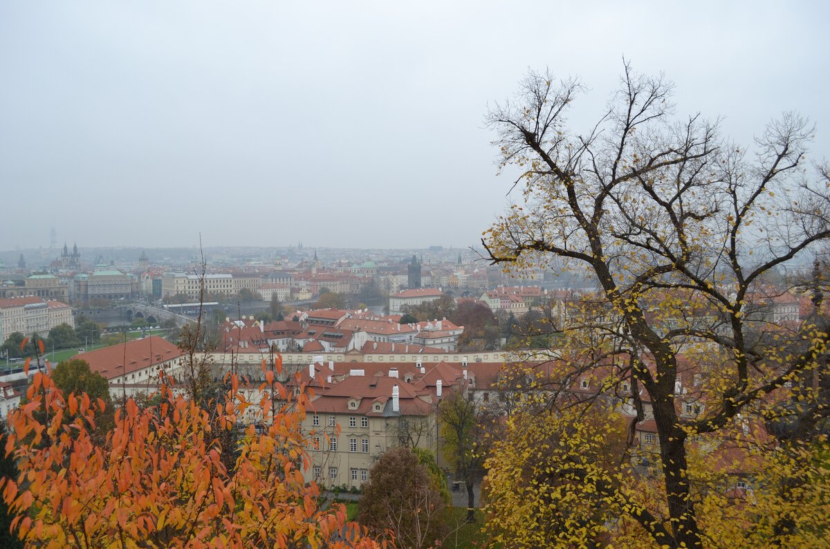 Туман над Прагой - Ольга 
