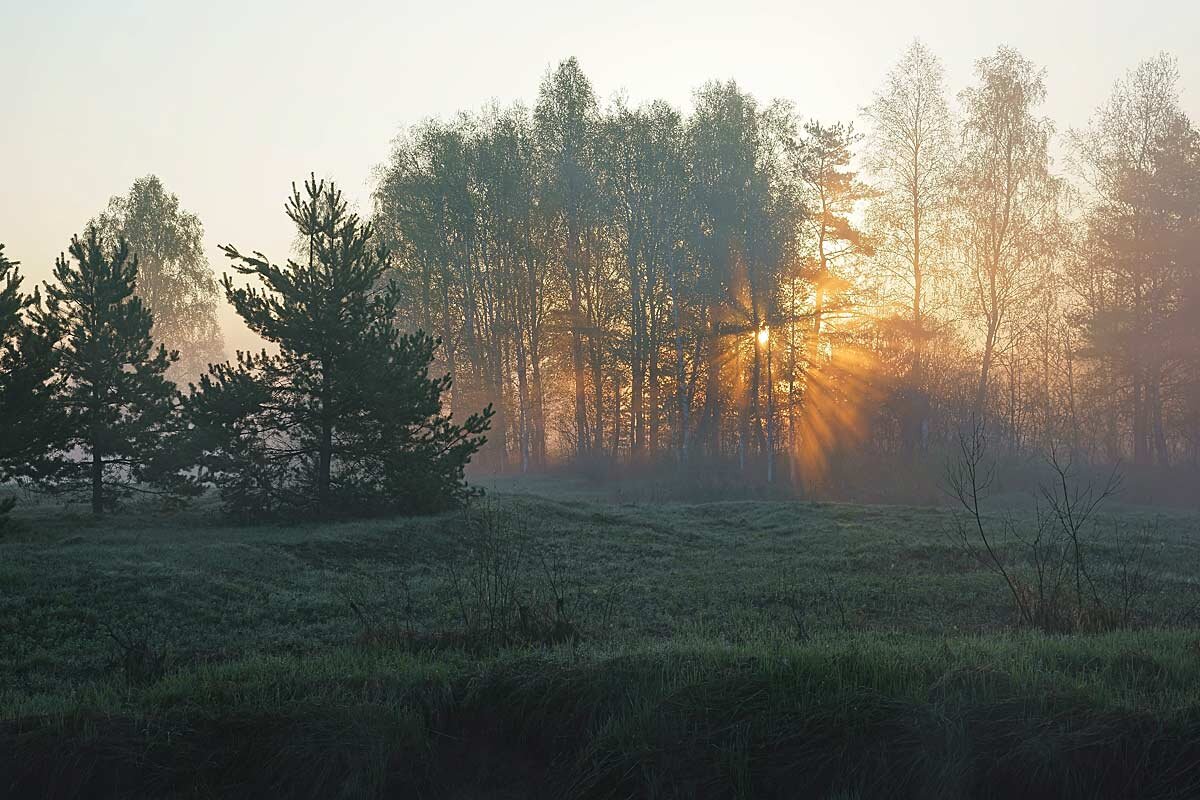 Восход солнца на реке Гусь - Сергей Курников