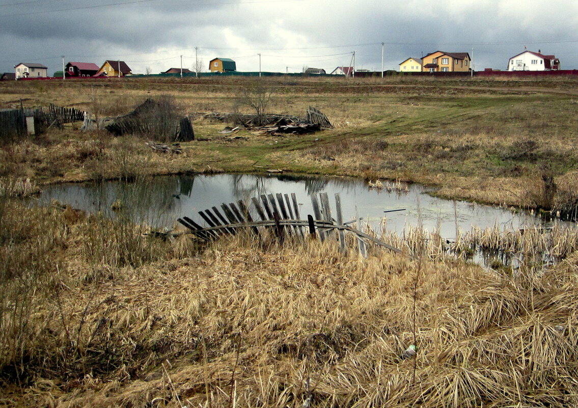 покинутые огороды - Любовь 